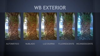 WB EXTERIOR
AUTOMÁTICO NUBLADO LUZ DIURNA FLUORESCENTE INCANDESCENTE
 