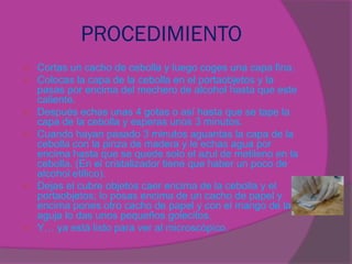 PROCEDIMIENTO
   Cortas un cacho de cebolla y luego coges una capa fina.
   Colocas la capa de la cebolla en el portaobjetos y la
    pasas por encima del mechero de alcohol hasta que este
    caliente.
   Después echas unas 4 gotas o así hasta que se tape la
    capa de la cebolla y esperas unos 3 minutos.
   Cuando hayan pasado 3 minutos aguantas la capa de la
    cebolla con la pinza de madera y le echas agua por
    encima hasta que se quede solo el azul de metileno en la
    cebolla. (En el cristalizador tiene que haber un poco de
    alcohol etílico).
   Dejas el cubre objetos caer encima de la cebolla y el
    portaobjetos; lo posas encima de un cacho de papel y
    encima pones otro cacho de papel y con el mango de la
    aguja lo das unos pequeños golecitos.
   Y… ya está listo para ver al microscópico.
 