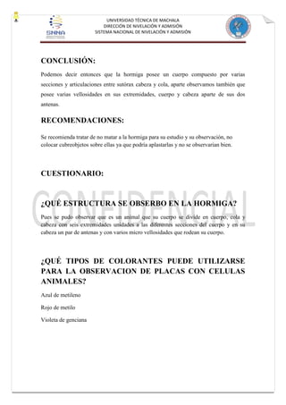 UNIVERSIDAD TÉCNICA DE MACHALA
DIRECCIÓN DE NIVELACIÓN Y ADMISIÓN
SISTEMA NACIONAL DE NIVELACIÓN Y ADMISIÓN
CONCLUSIÓN:
Podemos decir entonces que la hormiga posee un cuerpo compuesto por varias
secciones y articulaciones entre sutórax cabeza y cola, aparte observamos también que
posee varias vellosidades en sus extremidades, cuerpo y cabeza aparte de sus dos
antenas.
RECOMENDACIONES:
Se recomienda tratar de no matar a la hormiga para su estudio y su observación, no
colocar cubreobjetos sobre ellas ya que podría aplastarlas y no se observarían bien.
CUESTIONARIO:
¿QUÉ ESTRUCTURA SE OBSERBO EN LA HORMIGA?
Pues se pudo observar que es un animal que su cuerpo se divide en cuerpo, cola y
cabeza con seis extremidades unidades a las diferentes secciones del cuerpo y en su
cabeza un par de antenas y con varios micro vellosidades que rodean su cuerpo.
¿QUÉ TIPOS DE COLORANTES PUEDE UTILIZARSE
PARA LA OBSERVACION DE PLACAS CON CELULAS
ANIMALES?
Azul de metileno
Rojo de metilo
Violeta de genciana
 