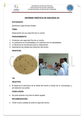 UNIVERSIDAD TÉCNICA DE MACHALA
DIRECCIÓN DE NIVELACIÓN Y ADMISIÓN
SISTEMA NACIONAL DE NIVELACIÓN Y ADMISIÓN
INFORME PRÁCTICA DE BIOLOGIA #3
ESTUDIANTE:
Zambrano López Ericka Anabel
TEMA:
Observación de una capa fina de un corcho
PROCEDIMIENTO:
1. Cortamos una capa bien fina de un corcho.
2. Lo colocamos en el portaobjeto y lo cubrimos con el cubreobjetos.
3. Lo llevamos al microscopio para su observación.
4. Apreciamos las células que observan del corcho.
GRAFICOS:
10x
OBJETIVO:
El observar la estructura de la célula del corcho a través de un microscopio, y
así observar sus partes.
CONCLUSION:
Se pudo apreciar muy bien la célula vegetal.
RECOMENDACIÓN:
Tener mucho cuidado al cortar la capa del corcho
 