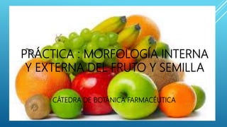 PRÁCTICA : MORFOLOGÍA INTERNA
Y EXTERNA DEL FRUTO Y SEMILLA
CÁTEDRA DE BOTÁNICA FARMACÉUTICA
 