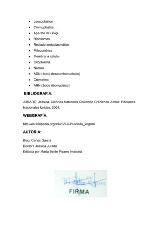 Leucoplastos
Cromoplastos
Aparato de Golgi
Ribosomas
Retículo endoplasmático
Mitocondrias
Membrana celular
Citoplasma
Núcleo
ADN (ácido desoxirribonucleico)
Cromatina
ARN (ácido ribonucleico)

BIBLIOGRAFÍA:
JURADO, Jessica, Ciencias Naturales Colección Creciendo Juntos, Ediciones
Nacionales Unidas, 2004.

WEBGRAFÍA:
http://es.wikipedia.org/wiki/C%C3%A9lula_vegetal

AUTORÍA:
Bioq. Carlos García
Doctora Jessica Jurado
Editada por María Belén Pizarro Imaicela

 