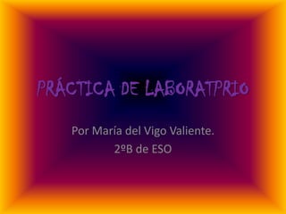 PRÁCTICA DE LABORATPRIO
Por María del Vigo Valiente.
2ºB de ESO

 
