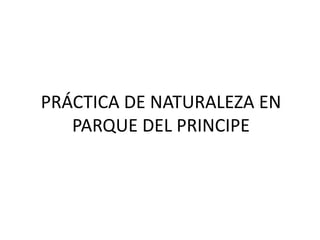 PRÁCTICA DE NATURALEZA EN
PARQUE DEL PRINCIPE

 