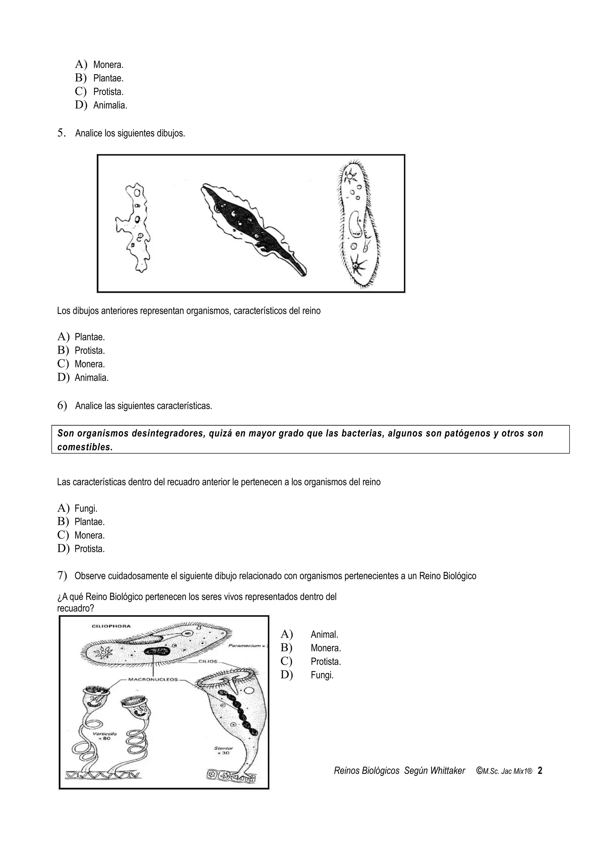 Práctica de reinos 2 | RTF