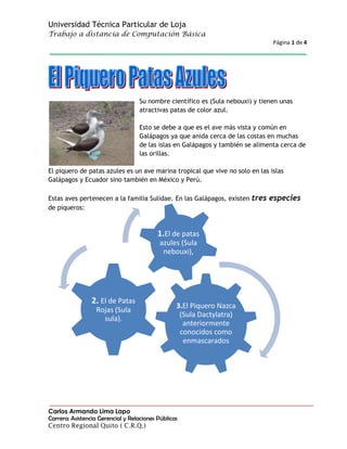 18568829295<br />-23394622270669Su nombre científico es (Sula nebouxi) y tienen unas atractivas patas de color azul.Esto se debe a que es el ave más vista y común en Galápagos ya que anida cerca de las costas en muchas de las islas en Galápagos y también se alimenta cerca de las orillas.El piquero de patas azules es un ave marina tropical que vive no solo en las islas Galápagos y Ecuador sino también en México y Perú.Estas aves pertenecen a la familia Sulidae. En las Galápagos, existen tres especies de piqueros:<br />Los Nazca son los más grandes y los de patas azules son los más pequeños, pero todos son muy similares en su estructura o forma.Los piqueros de patas azules tienen las colas más largas que las otras dos especies, la cola les ayuda a realizar rápidas e increíbles inmersiones en el mar para alimentarse cerca de las orillas.El piquero macho tiene la cola un poco más grande que la de la hembra, pero aun así es muy difícil notar la diferencia a simple vista.Pero Ud. puede notar la diferencia entre machos y hembras con mayor facilidad por la voz, ya que los machos hacen un sonido como un silbido mientras que las hembras croan.HABITAT:zonas costeras.DESCRIPCIÓN:Largo: 85 cts.Cabeza y cuello con plumas café en la zona basal y blancas en las puntas. Zona blanca entre el cuello y el dorso. Dorso café con plumas bordeadas de blanco. Cuello inferior, pecho, abdomen y sub caudales blancos. Primarias café negruzco. Secundarias café con leve tono rufo. Cola con rectrices centrales blanquecinas y laterales café. Gran pico azul negruzco. Patas azules. Ojos amarillos.<br />Características de Estas Aves:<br />Tamaño3 pies de largo.EnvergaduraAlrededor de 5 pies.Peso3 y 4 Libras.<br />El tamaño de los piqueros de patas azules es en promedio menos de 3 pies de largo y su envergadura es de alrededor de 5 pies.Pesan entre 3 y 4 libras, siendo la hembra más grande que el macho.Estas aves tienen cuellos largos y hermosas patas azules en forma de telaraña. Las plumas en las alas son color café y su cabeza y cuello son café con rayas negras.Su pecho y partes inferiores son blancos. El tiempo promedio de vida para estas aves marinas es de alrededor de 17 años.El piquero de patas azules vive en el Océano excepto cuando está en reproducción. Se reproduce generalmente en islas oceánicas como en Galápagos.Mirar a estas aves en el Océano es todo un espectáculo. Pueden sumergirse dentro del agua mientras están nadando en la superficie del agua casi instantáneamente, esta particular habilidad es la que los hace diferentes de otras especies de piqueros.Cuando vuelan, estas aves colocan sus alas cerca a su cuerpo, y entran en el agua como un torpedo casi sin hacer salpicar el agua.Después de su primera inmersión ellos nadan bajo el agua hasta encontrar su presa, y salen del agua varios metros más allá de su inmersión inicial con su presa. Estas aves también son expertas en capturar peces en pleno vuelo.Otra característica de los patas azules es su curioso ritual de apareamiento. El macho alza una de sus patas al aire y luego la otra en frente a la hembra, tal como en una parada o marcha militar.Luego el macho y la hembra giran sus cabezas hacia arriba apuntando sus picos al cielo, y empiezan a emitir los sonidos de apareamiento.Los piqueros son una especie protegida en las islas Galápagos, y se estima que alrededor de unas 40.000 aves de esta especie viven en las islas.<br />Cuando se visita una colonia de piqueros patas azules tome en cuenta que es recomendable que el grupo de personas no haga un círculo alrededor del nido, ya que esto significa una señal de amenaza para esta ave. Conocer de cerca a los animales de Galápagos es verdaderamente una experiencia única. Explorar las islas Galápagos será para Ud. una increíble aventura que durará en su memoria por siempre.<br />4=10×10330∞20-50φ50  312∓25≤60×75φ<br />