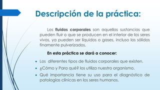 Descripción de la práctica:
Los fluidos corporales son aquellas sustancias que
pueden fluir o que se producen en el interior de los seres
vivos, ya pueden ser líquidos o gases, incluso los sólidos
finamente pulverizados.
En esta práctica se dará a conocer:
 Los diferentes tipos de fluidos corporales que existen.
 ¿Cómo y Para qué? los utiliza nuestro organismo.
 Qué importancia tiene su uso para el diagnóstico de
patologías clínicas en los seres humanos.
 