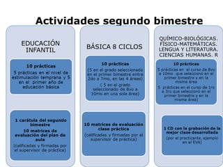 Actividades segundo bimestre 