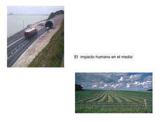 El impacto humano en el medio
 