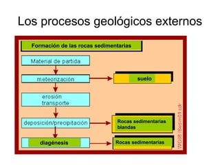Los procesos geológicos externos
diagénesis
suelo
Formación de las rocas sedimentarias
Rocas sedimentarias
blandas
Rocas sedimentarias
 