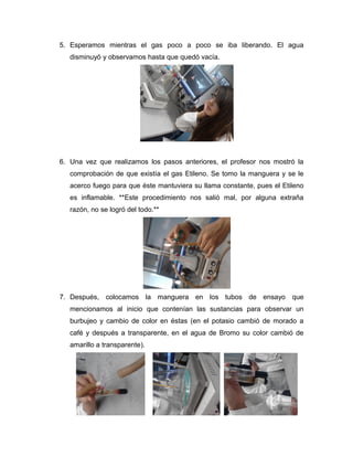 5. Esperamos mientras el gas poco a poco se iba liberando. El agua
   disminuyó y observamos hasta que quedó vacía.




6. Una vez que realizamos los pasos anteriores, el profesor nos mostró la
   comprobación de que existía el gas Etileno. Se tomo la manguera y se le
   acerco fuego para que éste mantuviera su llama constante, pues el Etileno
   es inflamable. **Este procedimiento nos salió mal, por alguna extraña
   razón, no se logró del todo.**




7. Después, colocamos la manguera en los tubos de ensayo que
   mencionamos al inicio que contenían las sustancias para observar un
   burbujeo y cambio de color en éstas (en el potasio cambió de morado a
   café y después a transparente, en el agua de Bromo su color cambió de
   amarillo a transparente).
 