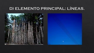 Práctica fotográfica pdf