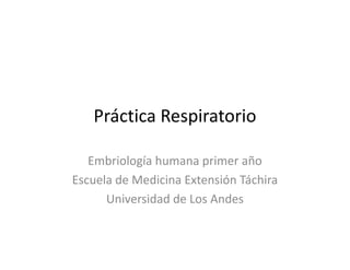 Práctica Respiratorio
Embriología humana primer año
Escuela de Medicina Extensión Táchira
Universidad de Los Andes
 