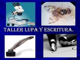 TALLER LUPA Y ESCRITURA.TALLER LUPA Y ESCRITURA.
 