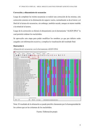 PRACTICA VIRTUAL – MEGA: MOLECULAR EVOLUTIONARY GENETICS ANALYSIS | PDF