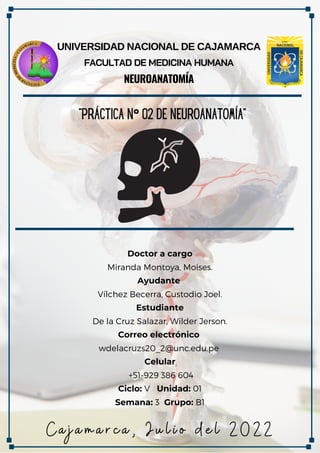 PRÁCTICA N° 02 DE NEUROANATOMÍA(CC Y MP).pdf