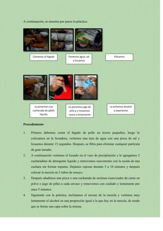 A continuación, se muestra por pasos la práctica:

Cortamos el hígado

Ponemos agua, sal
y licuamos

Le ponemos una
cucharada de jabón
líquido

Le ponemos jugo de
piña y o movemos
suave y lentamente

Filtramos

Le echamos alcohol
y esperamos

Procedimiento
1.

Primero debemos cortar el hígado de pollo en trozos pequeños, luego lo
colocamos en la licuadora, vertemos una taza de agua con una pizca de sal y
licuamos durante 15 segundos. Después, se filtra para eliminar cualquier partícula
de gran tamaño.

2.

A continuación vertemos el licuado en el vaso de precipitación y le agregamos 2
cucharaditas de detergente líquido y removemos suavemente con la ayuda de una
cuchara sin formar espuma. Dejamos reposar durante 5 a 10 minutos y después
colocar la mezcla en 3 tubos de ensayo.

3.

Después añadimos una pizca o una cucharada de enzimas (suavizador de carne en
polvo o jugo de piña) a cada envase y removemos con cuidado y lentamente por
unos 5 minutos.

4.

Siguiendo con la práctica, inclinamos el envase de la mezcla y vertimos muy
lentamente el alcohol en una proporción igual a la que hay en la mezcla, de modo
que se forme una capa sobre la misma.

 