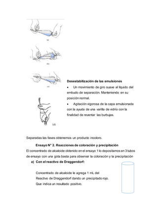 Desestabilización de las emulsiones
 Un movimiento de giro suave al líquido del
embudo de separación. Manteniendo en su
posición normal.
 Agitación vigorosa de la capa emulsionada
con la ayuda de una varilla de vidrio con la
finalidad de reventar las burbujas.
Separadas las fases obtenemos un producto incoloro.
Ensayo N° 2. Reacciones de coloración y precipitación
El concentrado de alcaloide obtenido en el ensayo 1 lo depositamos en 3 tubos
de ensayo con una gota basta para observar la coloración y la precipitación
a) Con el reactivo de Draggendorf:
Concentrado de alcaloide le agrega 1 mL del
Reactivo de Draggendorf dando un precipitado rojo.
Que indica un resultado positivo.
 