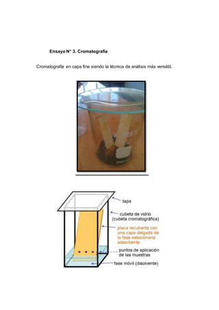 Ensayo N° 3. Cromatografía
Cromatografía en capa fina siendo la técnica de análisis más versátil.
 