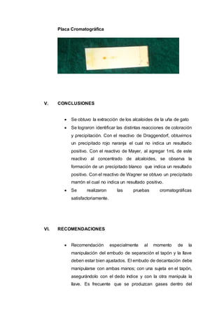 Placa Cromatográfica
V. CONCLUSIONES
 Se obtuvo la extracción de los alcaloides de la uña de gato
 Se lograron identificar las distintas reacciones de coloración
y precipitación. Con el reactivo de Draggendorf, obtuvimos
un precipitado rojo naranja el cual no indica un resultado
positivo. Con el reactivo de Mayer, al agregar 1mL de este
reactivo al concentrado de alcaloides, se observa la
formación de un precipitado blanco que indica un resultado
positivo. Con el reactivo de Wagner se obtuvo un precipitado
marrón el cual no indica un resultado positivo.
 Se realizaron las pruebas cromatográficas
satisfactoriamente.
VI. RECOMENDACIONES
 Recomendación especialmente al momento de la
manipulación del embudo de separación el tapón y la llave
deben estar bien ajustados. El embudo de decantación debe
manipularse con ambas manos; con una sujeta en el tapón,
asegurándolo con el dedo índice y con la otra manipula la
llave. Es frecuente que se produzcan gases dentro del
 