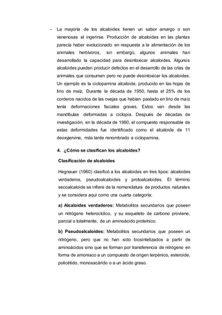 - La mayoría de los alcaloides tienen un sabor amargo o son
venenosas al ingerirse. Producción de alcaloides en las plantas
parecía haber evolucionado en respuesta a la alimentación de los
animales herbívoros, sin embargo, algunos animales han
desarrollado la capacidad para desintoxicar alcaloides. Algunos
alcaloides pueden producir defectos en el desarrollo de las crías de
animales que consumen pero no puede desintoxicar los alcaloides.
Un ejemplo es la ciclopamina alcaloide, producido en las hojas de
lirio de maíz. Durante la década de 1950, hasta el 25% de los
corderos nacidos de las ovejas que habían pastado en lirio de maíz
tenía deformaciones faciales graves. Estos van desde las
mandíbulas deformadas a ciclopia. Después de décadas de
investigación, en la década de 1980, el compuesto responsable de
estas deformidades fue identificado como el alcaloide de 11
deoxyjervine, más tarde renombrado a ciclopamina.
4. ¿Cómo se clasifican los alcaloides?
Clasificación de alcaloides
Hegnauer (1960) clasificó a los alcaloides en tres tipos: alcaloides
verdaderos, pseudoalcaloides y protoalcaloides. El término
secoalcaloide se infiere de la nomenclatura de productos naturales
y se considera aquí como una cuarta categoría:
a) Alcaloides verdaderos: Metabolitos secundarios que poseen
un nitrógeno heterocíclico, y su esqueleto de carbono proviene,
parcial o totalmente, de un aminoácido proteínico.
b) Pseudoalcaloides: Metabolitos secundarios que poseen un
nitrógeno, pero que no han sido biosintetizados a partir de
aminoácidos sino que se forman por transferencia de nitrógeno en
forma de amoniaco a un compuesto de origen terpénico, esteroide,
policétido, monosacárido o a un ácido graso.
 