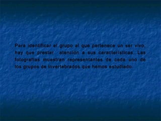 Para identificar el grupo al que pertenece un ser vivo,
hay que prestar atención a sus características. Las
fotografías mu...
