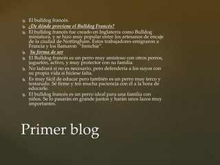  El bulldog francés.
 ¿De dónde proviene el Bulldog Francés?
 El bulldog francés fue creado en Inglaterra como Bulldog
miniatura, y se hizo muy popular entre los artesanos de encaje
de la ciudad de Nottingham. Estos trabajadores emigraron a
Francia y los llamaron “frenchie”.
 Su forma de ser
 El Bulldog francés es un perro muy amistoso con otros perros,
juguetón, activo, y muy protector con su familia.
 No ladrará si no es necesario, pero defendería a los suyos con
su propia vida si hiciese falta.
 Es muy fácil de educar pero también es un perro muy terco y
testarudo. Sé firme y ten mucha paciencia con él a la hora de
educarle.
 El bulldog francés es un perro ideal para una familia con
niños. Se lo pasarán en grande juntos y harán unos lazos muy
importantes.
Primer blog
 