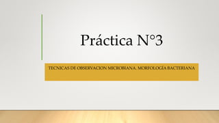 Práctica N°3
TECNICAS DE OBSERVACION MICROBIANA. MORFOLOGÍA BACTERIANA
 