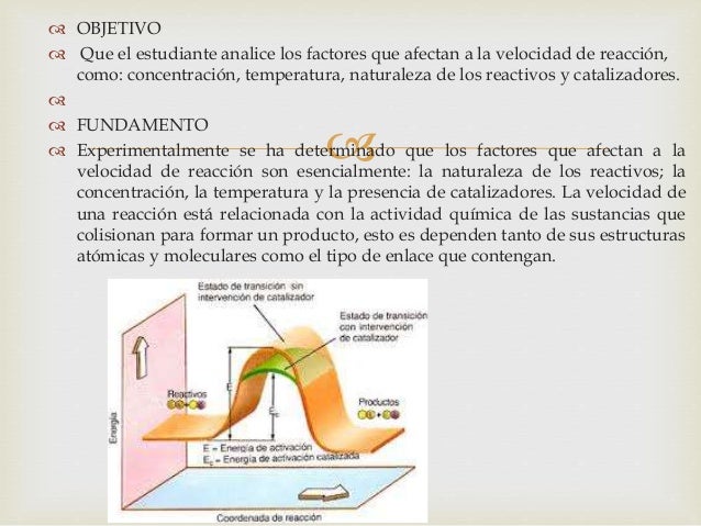 Práctica N° 6 Factores que modifican la Velocidad de una