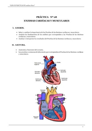 “GUÍA DEPRÁCTICASDE análisisclínico”
1
PRÁCTICA Nº 08
ENZIMAS CARDÍACAS Y MUSCULARES
I. LOGROS.
 Saber y analizar la importancia de las Pruebas de las Enzimas cardíacas y musculares.
 Analizar los fundamentos de los análisis que corresponden a las Pruebas de las Enzimas
cardíacas y musculares.
 Analizar e interpretar los resultados del Pruebas de las Enzimas cardíacas y musculares.
II. LECTURA.
 Anatomía y funciones del corazón.
 Las pruebas o exámenes de laboratorio que corresponden al Pruebas de las Enzimas cardíacas
y musculares.
 