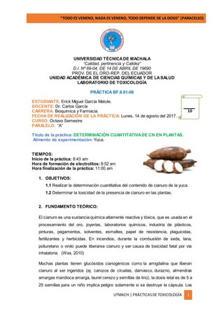 “TODO ES VENENO, NADA ES VENENO, TODO DEPENDE DE LA DOSIS” (PARACELSO)
UTMACH | PRÁCTICASDE TOXICOLOGÍA 1
UNIVERSIDAD TÉCNICADE MACHALA
“Calidad, pertinencia y Calidez”
D.I. Nº 69-04, DE 14 DE ABRIL DE 19690
PROV. DE EL ORO-REP. DEL ECUADOR
UNIDAD ACADÉMICA DE CIENCIAS QUÍMICAS Y DE LASALUD
LABORATORIO DE TOXICOLOGÍA
PRÁCTICA BF.8.01-08
ESTUDIANTE: Erick Miguel García Matute.
DOCENTE: Dr. Carlos García
CARRERA: Bioquímica y Farmacia.
FECHA DE REALIZACIÒN DE LA PRÁCTICA: Lunes, 14 de agosto del 2017.
CURSO: Octavo Semestre
PARALELO: “A”
Título de la práctica: DETERMINACIÓN CUANTITATIVADE CN EN PLANTAS.
Alimento de experimentación: Yuca.
TIEMPOS:
Inicio de la práctica: 8:43 am
Hora de formación de electrolitos: 8:52 am
Hora finalización de la práctica: 11:00 am
1. OBJETIVOS:
1.1 Realizar la determinación cuantitativa del contenido de cianuro de la yuca.
1.2 Determinar la toxicidad de la presencia de cianuro en las plantas.
2. FUNDAMENTO TEÓRICO:
El cianuro es una sustancia química altamente reactiva y tóxica, que es usada en el
procesamiento del oro, joyerías, laboratorios químicos, industria de plásticos,
pinturas, pegamentos, solventes, esmaltes, papel de resistencia, plaguicidas,
fertilizantes y herbicidas. En incendios, durante la combustión de seda, lana,
poliuretano o vinilo puede liberarse cianuro y ser causa de toxicidad fatal por vía
inhalatoria. (Wax, 2010)
Muchas plantas tienen glucósidos cianogénicos como la amigdalina que liberan
cianuro al ser ingeridos (ej. carozos de ciruelas, damasco, durazno, almendras
amargas mandioca amarga, laurel cerezo y semillas de lino), la dosis letal es de 5 a
25 semillas para un niño implica peligro solamente si se destruye la cápsula. Los
10
 