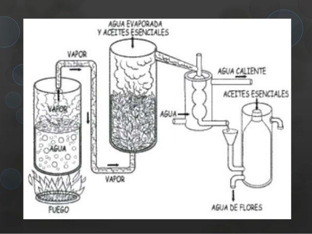 Práctica no. 2. destilación por arrastre de vapor.