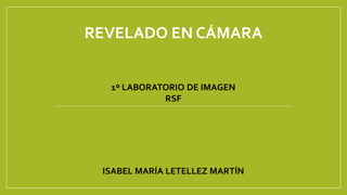 REVELADO EN CÁMARA
1º LABORATORIO DE IMAGEN
RSF

ISABEL MARÍA LETELLEZ MARTÍN

 