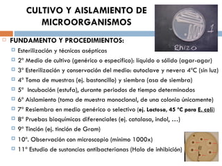 CULTIVO Y AISLAMIENTO DE
              MICROORGANISMOS
   FUNDAMENTO Y PROCEDIMIENTOS:
       Esterilización y técnicas asépticas
       2º Medio de cultivo (genérico o específico): líquido o sólido (agar-agar)
       3º Esterilización y conservación del medio: autoclave y nevera 4ºC (sin luz)
       4º Toma de muestras (ej. bastoncillo) y siembra (asa de siembra)
       5º Incubación (estufa), durante periodos de tiempo determinados
       6º Aislamiento (toma de muestra monoclonal, de una colonia únicamente)
       7º Resiembra en medio genérico o selectivo (ej. Lactosa, 45 ºC para E. coli)
       8º Pruebas bioquímicas diferenciales (ej. catalasa, indol, …)
       9º Tinción (ej. tinción de Gram)
       10º. Observación con microscopio (mínimo 1000x)
       11º Estudio de sustancias antibacterianas (Halo de inhibición)
 