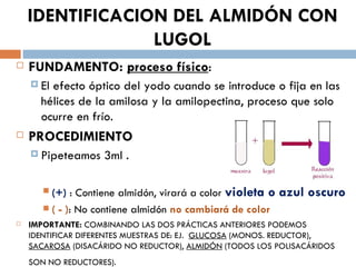 IDENTIFICACION DEL ALMIDÓN CON
                 LUGOL
   FUNDAMENTO: proceso físico:
     Elefecto óptico del yodo cuando se introduce o fija en las
      hélices de la amilosa y la amilopectina, proceso que solo
      ocurre en frío.
   PROCEDIMIENTO
     Pipeteamos    3ml .

        (+) : Contiene almidón, virará a color violeta o   azul oscuro
        ( - ): No contiene almidón no cambiará de color
   IMPORTANTE: COMBINANDO LAS DOS PRÁCTICAS ANTERIORES PODEMOS
    IDENTIFICAR DIFERENTES MUESTRAS DE: EJ. GLUCOSA (MONOS. REDUCTOR),
    SACAROSA (DISACÁRIDO NO REDUCTOR), ALMIDÓN (TODOS LOS POLISACÁRIDOS
    SON NO REDUCTORES).
 
