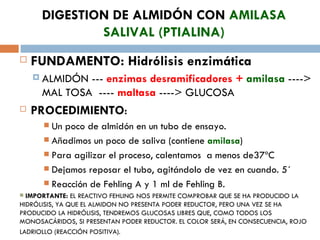 DIGESTION DE ALMIDÓN CON AMILASA
              SALIVAL (PTIALINA)
   FUNDAMENTO: Hidrólisis enzimática
     ALMIDÓN --- enzimas desramificadores + amilasa ---->
      MAL TOSA ---- maltasa ----> GLUCOSA
   PROCEDIMIENTO:
       Un poco de almidón en un tubo de ensayo.
       Añadimos un poco de saliva (contiene amilasa)
       Para agilizar el proceso, calentamos a menos de37ºC
       Dejamos reposar el tubo, agitándolo de vez en cuando. 5´
       Reacción de Fehling A y 1 ml de Fehling B.
 IMPORTANTE: EL REACTIVO FEHLING NOS PERMITE COMPROBAR QUE SE HA PRODUCIDO LA
HIDRÓLISIS, YA QUE EL ALMIDON NO PRESENTA PODER REDUCTOR, PERO UNA VEZ SE HA
PRODUCIDO LA HIDRÓLISIS, TENDREMOS GLUCOSAS LIBRES QUE, COMO TODOS LOS
MONOSACÁRIDOS, SI PRESENTAN PODER REDUCTOR. EL COLOR SERÁ, EN CONSECUENCIA, ROJO
LADRIOLLO (REACCIÓN POSITIVA).
 