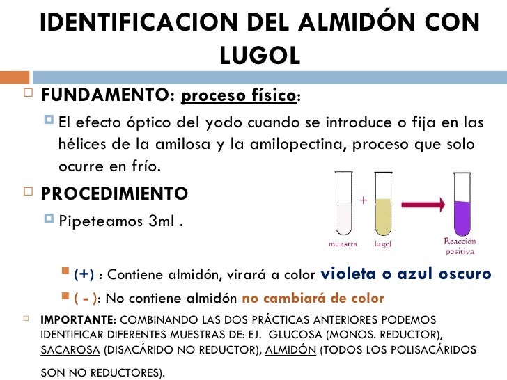 Prácticas