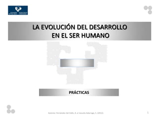 LA EVOLUCIÓN DEL DESARROLLO
      EN EL SER HUMANO




                           PRÁCTICAS



    Autores: Fernández del Valle, A. e Irazusta Adarraga, S. (2012).   1
 