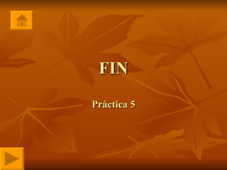 FIN Práctica 5 
