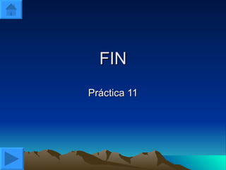 FIN Práctica 11 