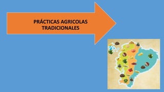 PRÁCTICAS AGRICOLAS
TRADICIONALES
 