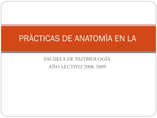 ESCUELA DE NUTRIOLOGÌA AÑO LECTIVO 2008-2009 PRÀCTICAS DE ANATOMÌA EN LA  