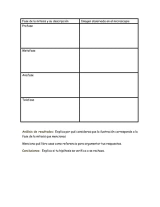 Fase de la mitosis y su descripción Imagen observada en el microscopio
Profase
Metafase
Anafase
Telofase
Análisis de resultados: Explica por qué consideras que la ilustración corresponde a la
fase de la mitosis que mencionas
Menciona qué libro usas como referencia para argumentar tus respuestas.
Conclusiones: Explica si tu hipótesis se verifica o se rechaza.
 