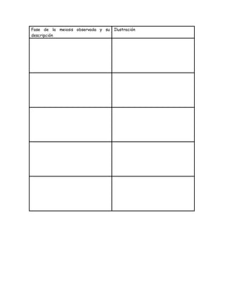 Fase de la meiosis observada y su
descripción
Ilustración
 
