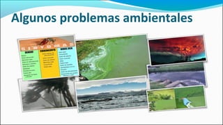 Algunos problemas ambientales
 