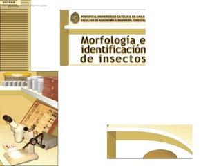 Este sitio está optimizado para Explorer 5.0 o superior
 