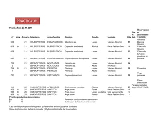 PRÁCTICA 3ª
Práctica Rafa 23-11-2011
                                                                                                                                                Observacion
                                                                                                                                           Ene es
                                                                                                                                           m    (actualizado
  nº    letra Armario Estanteria             orden/familia        Nombre                      Estadio            Sustrato              Uds Nat. 7-9-2009)
                                                                                                                                                Gusanos
 608              21    COLEOPTEROS          ESCARABEIDOS         Melolonta sp.               Larvas             Tubo en Alcohol        11      Blancos
                                                                                                                                                Gusano
 628     A        21    COLEOPTEROS          BUPRESTIDOS          Capnodis tenebrionis        Adultos            Placa Petri en Seco    9       Cabezudo
                                                                                                                                                Gusano
 628              21    COLEOPTEROS          BUPRESTIDOS          Capnodis tenebrionis        Larvas             Tubo en Alcohol        11      Cabezudo
                                                                                                                                                Larva de
                                                                                                                                                picudo de la
 661              21    COLEOPTEROS          CURCULIONIDOS Rhynchophorus ferrugineus          Larvas             Tubo en Alcohol        32      palmera

 702              21    LEPIDOPTEROS         NOCTUIDOS            Heliothis sp.               Larvas             Tubo en Alcohol       14
  2                     LEPIDOPTEROS         NOCTUIDOS            Heliothis sp.               Adulto             Pinchado
 704     B        21    LEPIDOPTEROS         PIERIDOS             Pieris sp.                  Larvas             Tubo en Alcohol       10       Pequeños
  1                     LEPIDOPTEROS         PIERIDOS             Pieris sp.                  Adulto             Pinchado
                                                                                                                                                Plaga
 721              21    LEPIDOPTEROS         CASTNIIDOS           Paysandisia archon          Larvas             Tubo en Alcohol       12       palmeras

                                                                                                                                                 Pupas
                                                                                                                                                 trialeurodes
                                                                                                                                          Paras parasitadas
  909           20    HIMENOPTEROS           AFELINIDOS           Eretmocerus eremicus        Adultos            Tubo en Alcohol       37 itoide COMPRADO
  925    A      20    HIMENOPTEROS           SINFITOS             Arge rosae                  Pupas              Placa Petri en Seco   4
  925    B      20    HIMENOPTEROS           SINFITOS             Arge rosae                  Larvas y adultos   Bote tapa amarilla    5
  926    A      20    HIMENOPTEROS           SINFITOS             Arge rosae                  Puesta             Placa Petri en Seco   1
Práctica productos almacenados
5A           10                                                   Pimentón con Lasioderma serricornes
7            10                                                   Judías con daños de Acantoscelides

Caja con Rhynchophorus ferrugineus y Paisandisia archon (puparios y adultos)
Hojas de cítricos con daños de minador ( Phyllocnistis citrella) del invernadero.
 