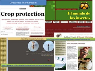 Direcciones interesantes (I)




                                                       http://insects.oeb.harvard.edu/caribbean_espanol/fieldcourse.htm




http://www.uc.cl/sw_educ/agronomia/insectos/html/frclave.html
 