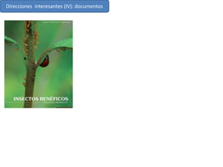 Direcciones interesantes (IV): documentos
 