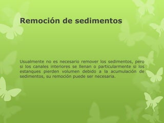 Remoción de sedimentos




Usualmente no es necesario remover los sedimentos, pero
si los canales interiores se llenan o particularmente si los
estanques pierden volumen debido a la acumulación de
sedimentos, su remoción puede ser necesaria.
 